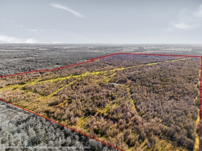 205 Acres in Caldwell County, TX - image 25