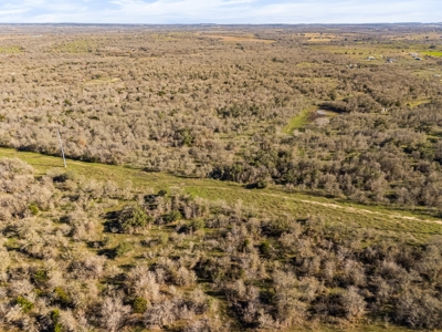 205 Acres in Caldwell County, TX - image 6