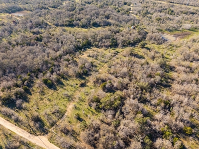 205 Acres in Caldwell County, TX - image 10