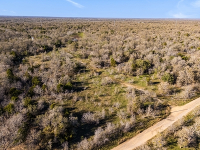 205 Acres in Caldwell County, TX - image 7