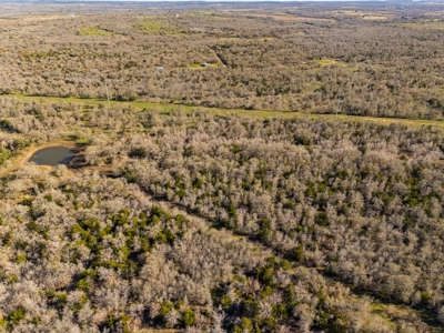 205 Acres in Caldwell County, TX - image 4