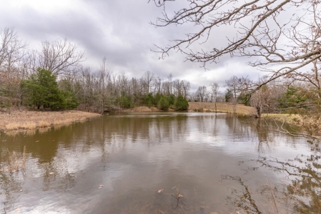 Ozarks Country Home & Farm For Sale Near Salem Ar - image 39