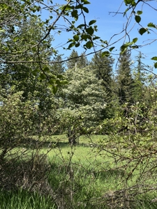 Land For Sale in Ronan, Montana! - image 16