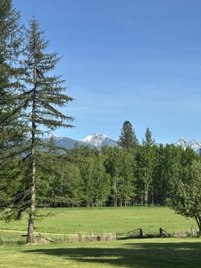 Land For Sale in Ronan, Montana! - image 10