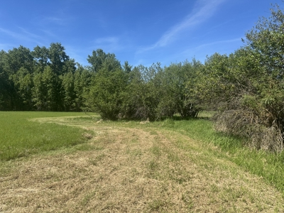 Land For Sale in Ronan, Montana! - image 19