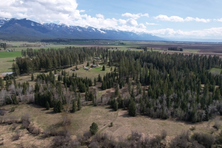 Land For Sale in Ronan, Montana! - image 3