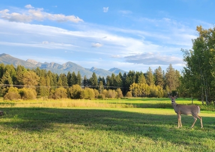 Land For Sale in Ronan, Montana! - image 2