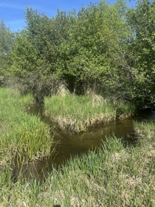 Land For Sale in Ronan, Montana! - image 18