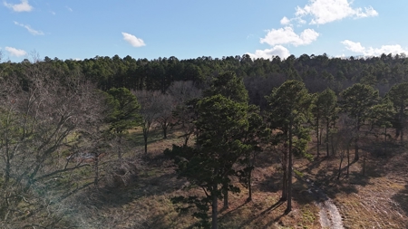 38 +/- Acres for Sale | Wilburton, Oklahoma - image 12