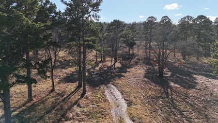 38 +/- Acres for Sale | Wilburton, Oklahoma - image 3