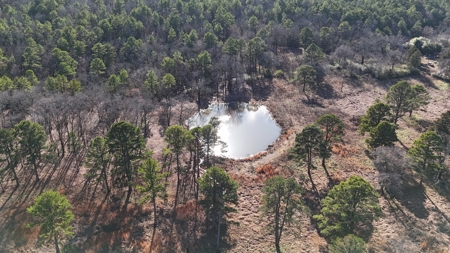 38 +/- Acres for Sale | Wilburton, Oklahoma - image 9