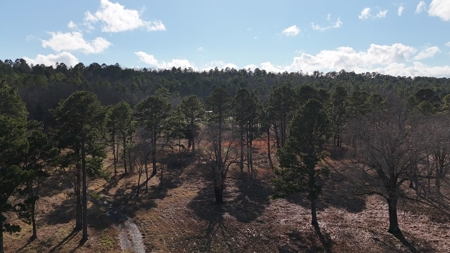 38 +/- Acres for Sale | Wilburton, Oklahoma - image 10