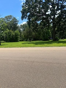 Residential Lot For Sale Brookhaven Mississippi - image 5