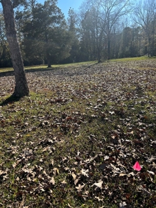 Residential Lot For Sale Brookhaven Mississippi - image 2