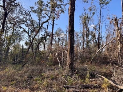 Withlacoochee Riverfront Property For Sale In Jasper, Fl - image 5