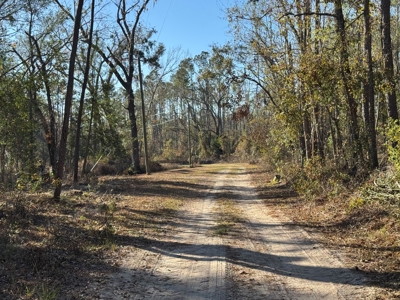 Withlacoochee Riverfront Property For Sale In Jasper, Fl - image 12