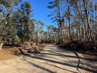 Withlacoochee Riverfront Property For Sale In Jasper, Fl - image 9