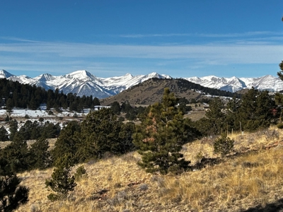 Charming Newly Renovated Cabin for Sale in Westcliffe - image 26