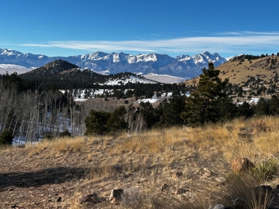 Charming Newly Renovated Cabin for Sale in Westcliffe - image 28