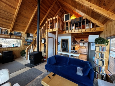 Charming Newly Renovated Cabin for Sale in Westcliffe - image 4