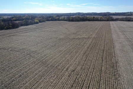Franklin County, Kansas 80 Acre Mixed-Use Land Auction - image 4
