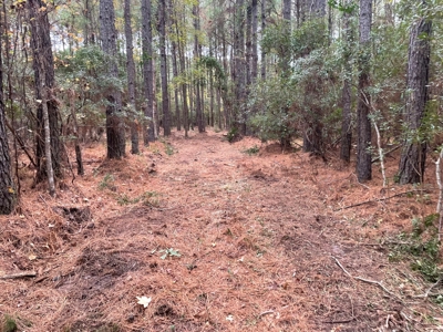 Coastal Equestrian Lot for Sale Beaufort NC - image 26