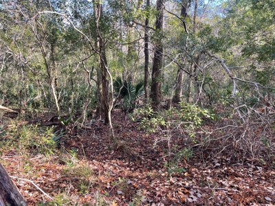 Coastal Equestrian Lot for Sale Beaufort NC - image 34