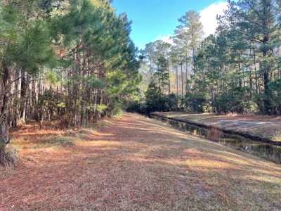 Coastal Equestrian Lot for Sale Beaufort NC - image 36