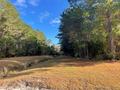 Coastal Equestrian Lot for Sale Beaufort NC - image 28