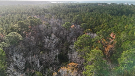 Coastal Equestrian Lot for Sale Beaufort NC - image 5