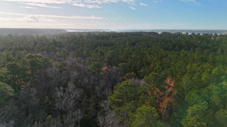 Coastal Equestrian Lot for Sale Beaufort NC - image 7