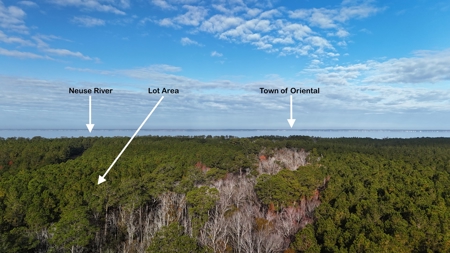 Coastal Equestrian Lot for Sale Beaufort NC - image 14