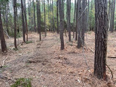 Coastal Equestrian Lot for Sale Beaufort NC - image 27