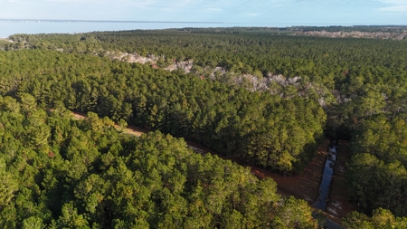 Coastal Equestrian Lot for Sale Beaufort NC - image 19