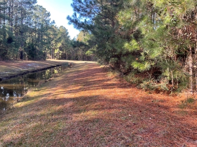 Coastal Equestrian Lot for Sale Beaufort NC - image 37
