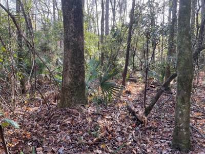 Coastal Equestrian Lot for Sale Beaufort NC - image 35