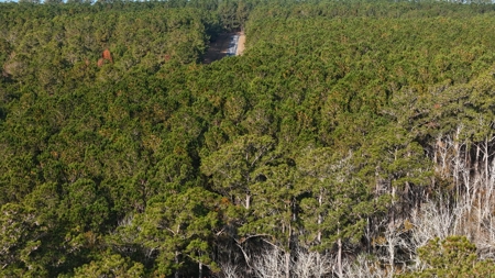 Coastal Equestrian Lot for Sale Beaufort NC - image 17