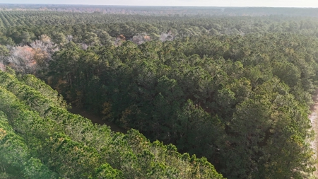 Coastal Equestrian Lot for Sale Beaufort NC - image 3