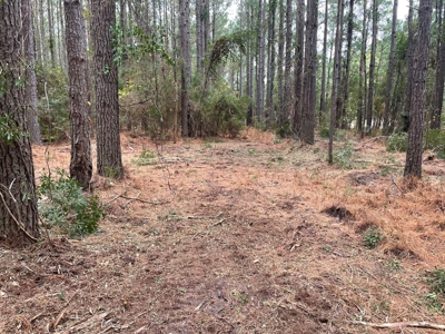 Coastal Equestrian Lot for Sale Beaufort NC - image 25