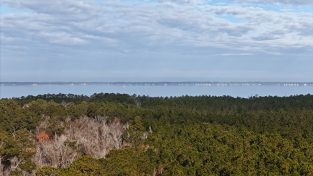 Coastal Equestrian Lot for Sale Beaufort NC - image 15