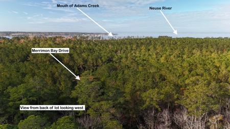 Coastal Equestrian Lot for Sale Beaufort NC - image 12