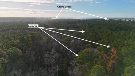 Coastal Equestrian Lot for Sale Beaufort NC - image 6
