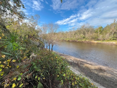 20 Acres on the pristine Peace River in Arcadia, FL! - image 10