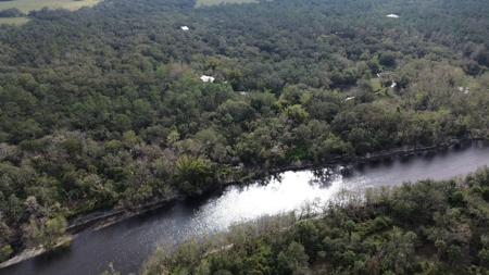 20 Acres on the pristine Peace River in Arcadia, FL! - image 26
