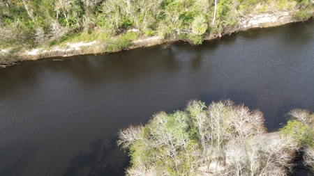 20 Acres on the pristine Peace River in Arcadia, FL! - image 24