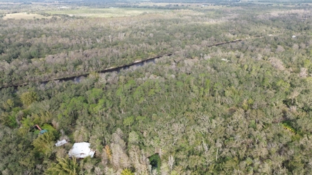 20 Acres on the pristine Peace River in Arcadia, FL! - image 28