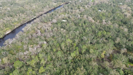 20 Acres on the pristine Peace River in Arcadia, FL! - image 29