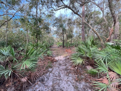 20 Acres on the pristine Peace River in Arcadia, FL! - image 4