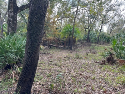 20 Acres on the pristine Peace River in Arcadia, FL! - image 15