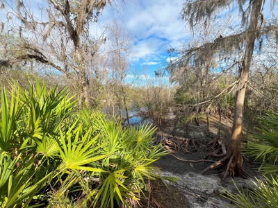 20 Acres on the pristine Peace River in Arcadia, FL! - image 12